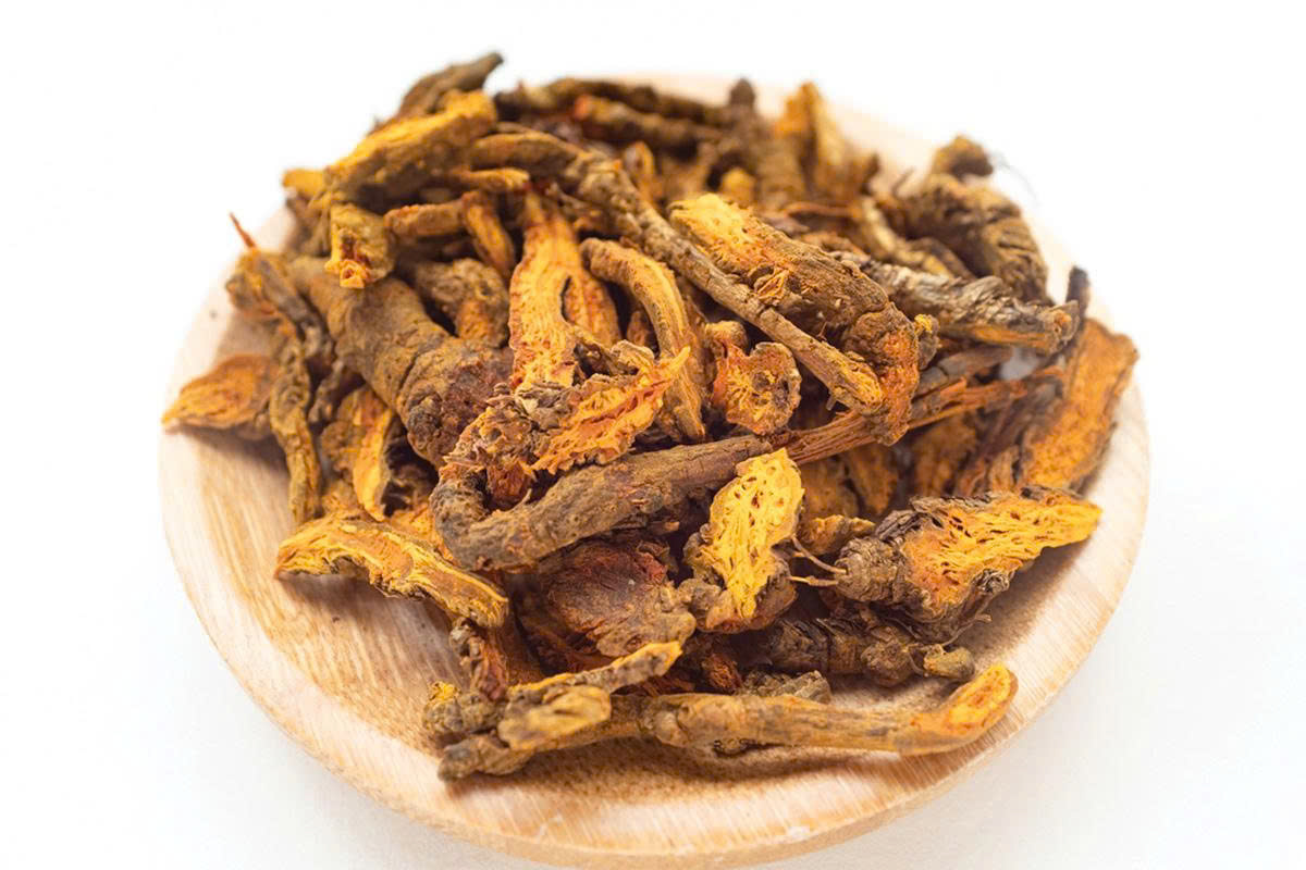 Hoàng liên 