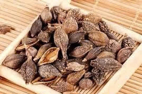 Liên kiều